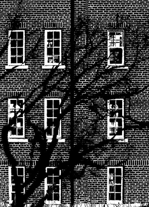 The Creeping Shadow - Edward Willett